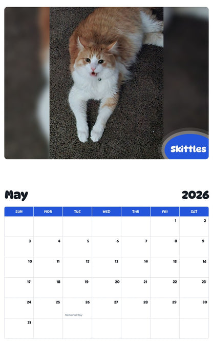 2026 - 2027 Skittles - Pawidols Pet Calendar