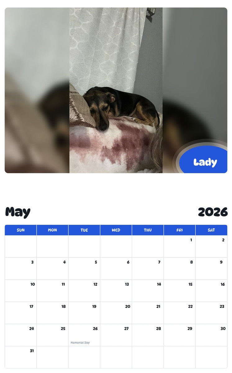 2026 - 2027 Lady - Pawidols Pet Calendar