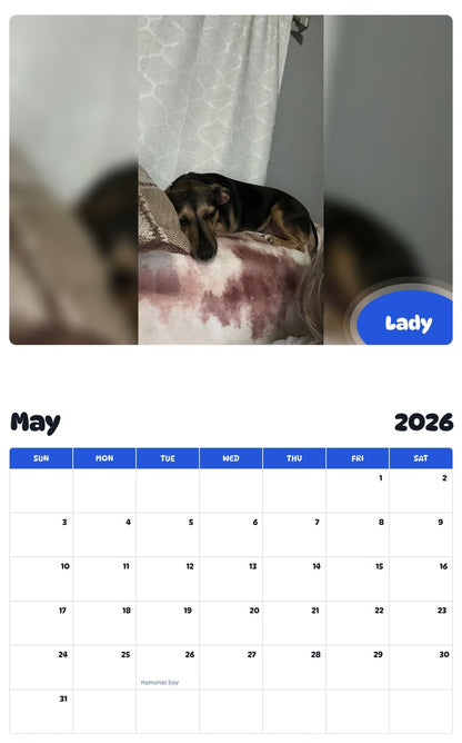 2026 - 2027 Lady - Pawidols Pet Calendar