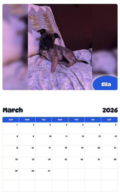 November 2025 - October 2026 Ella - Pawidols Pet Calendar