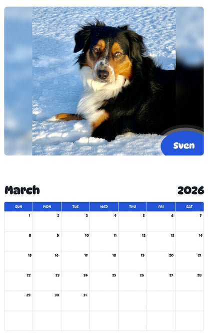November 2025 - October 2026 Sven - Pawidols Pet Calendar