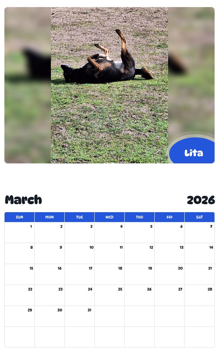November 2025 - October 2026 Lita - Pawidols Pet Calendar