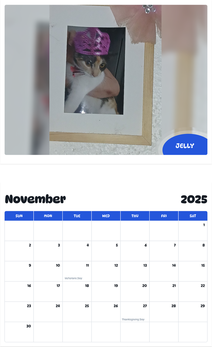 July 2025 - June 2026 Jelly - Pawidols Pet Calendar