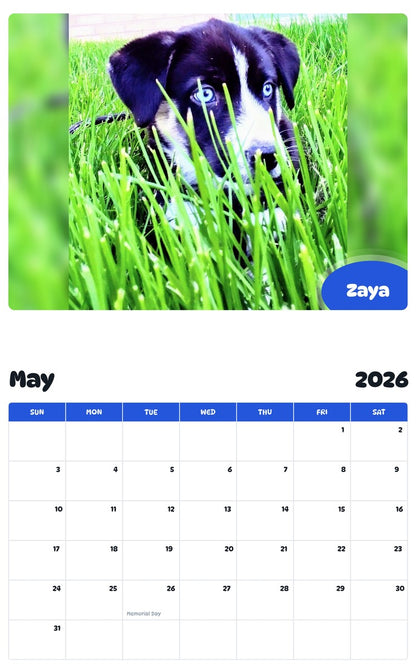 2026 - 2027 Zaya - Pawidols Pet Calendar