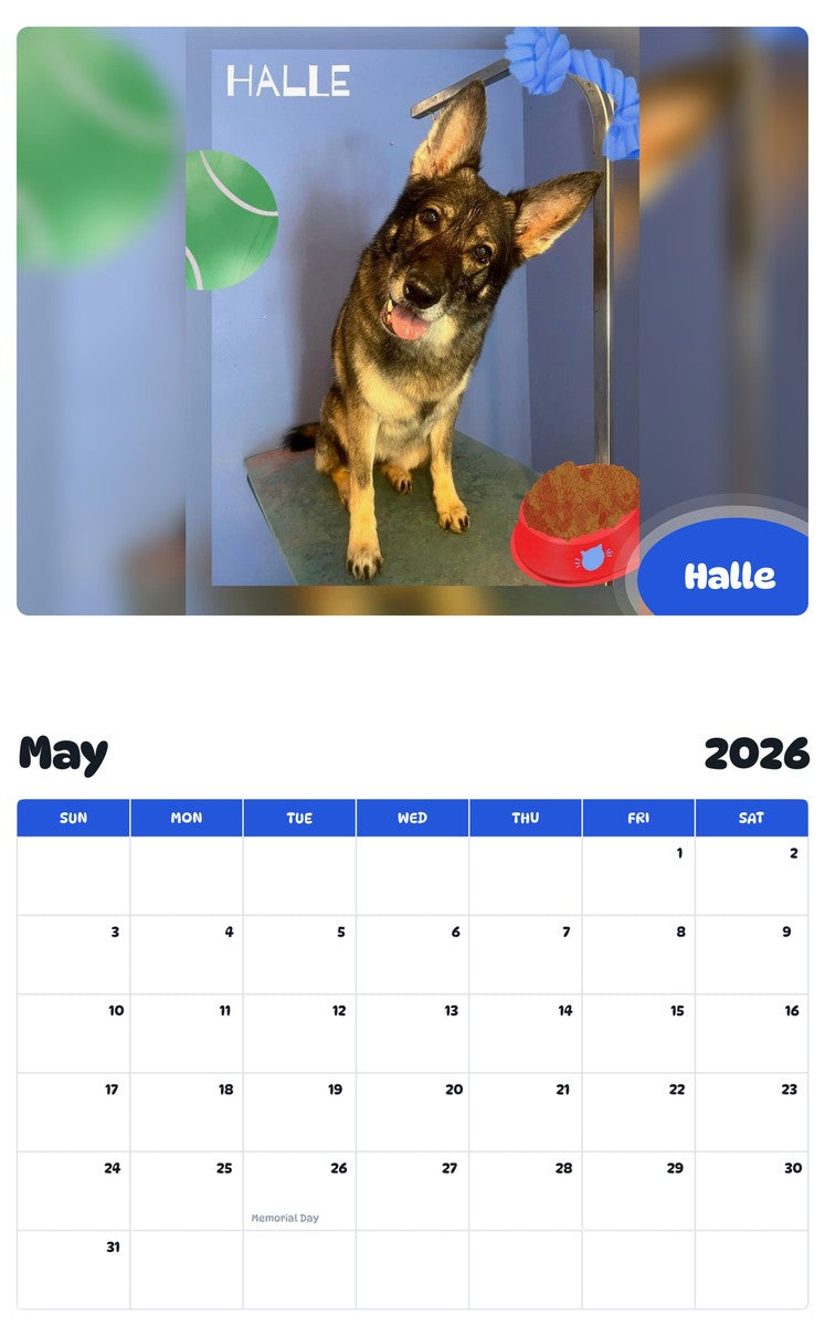 2026 - 2027 Halle - Pawidols Pet Calendar