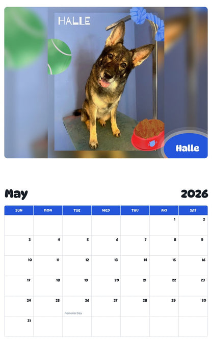 2026 - 2027 Halle - Pawidols Pet Calendar