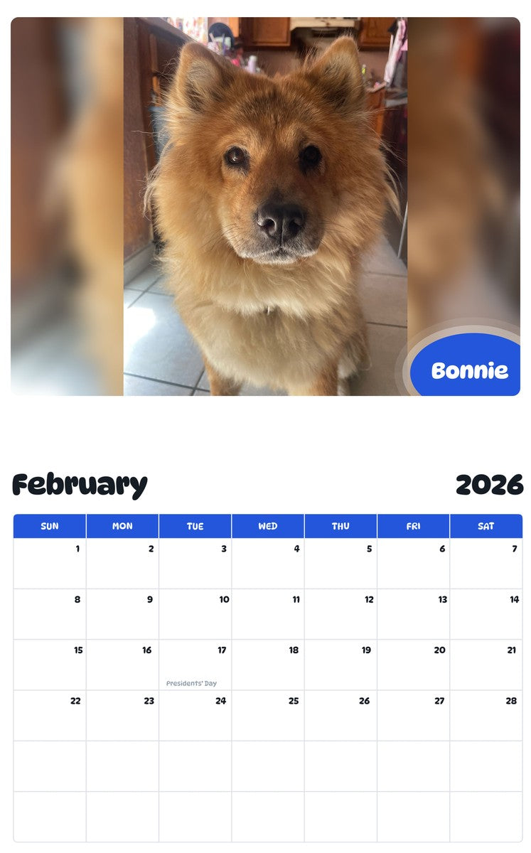 November 2025 - October 2026 Bonnie - Pawidols Pet Calendar