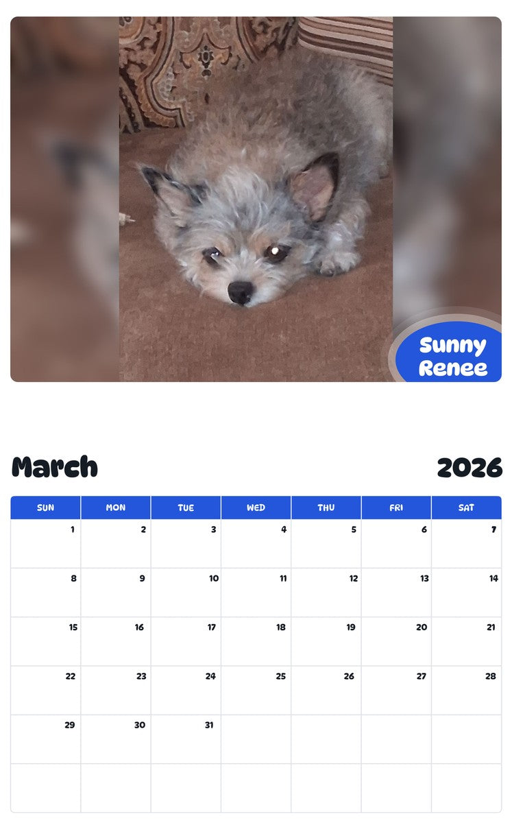 November 2025 - October 2026 Sunny Renee - Pawidols Pet Calendar