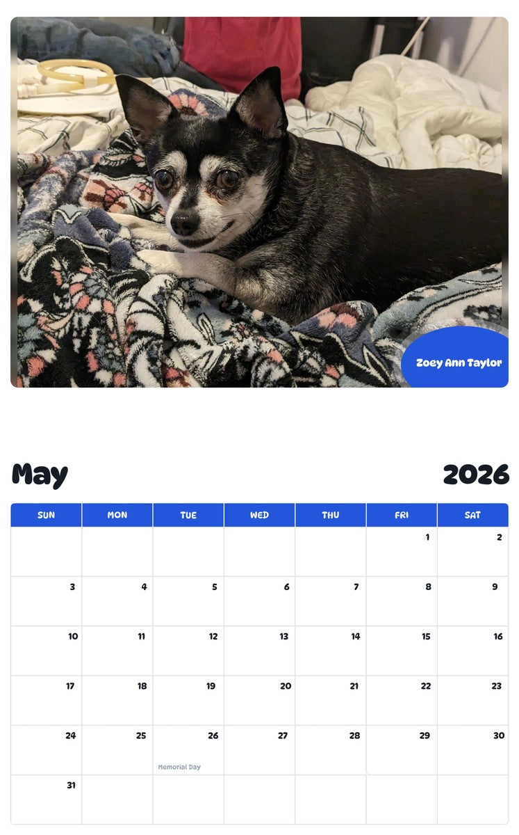 2026 - 2027 Zoey Ann Taylor - Pawidols Pet Calendar