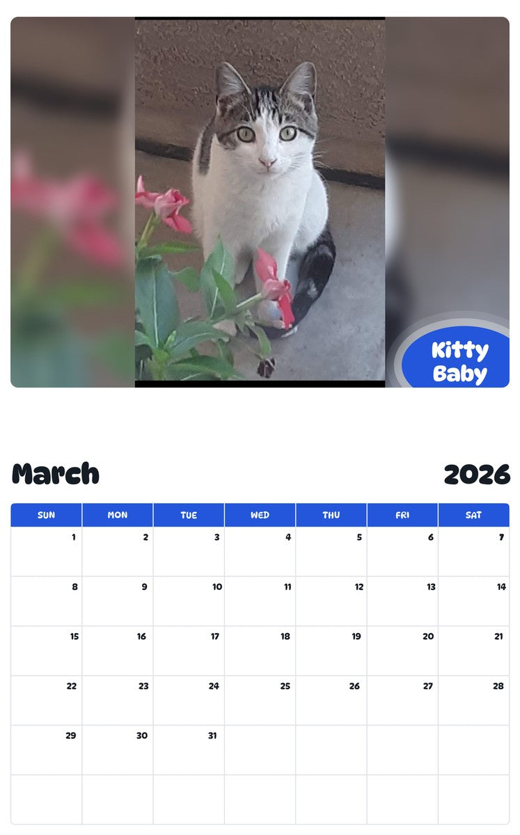 November 2025 - October 2026 Kitty Baby - Pawidols Pet Calendar