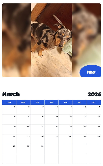 November 2025 - October 2026 Max - Pawidols Pet Calendar