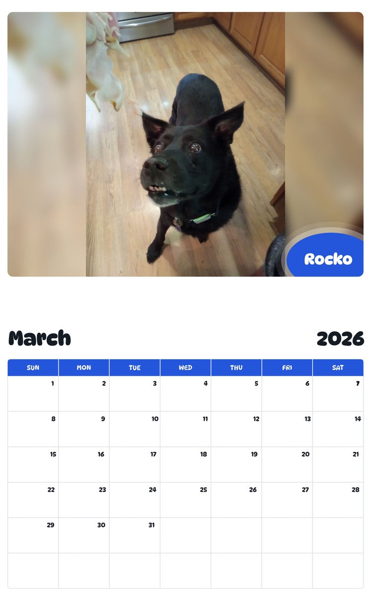 November 2025 - October 2026 Rocko - Pawidols Pet Calendar