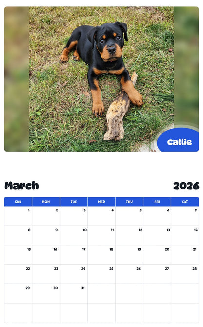 November 2025 - October 2026 Callie - Pawidols Pet Calendar
