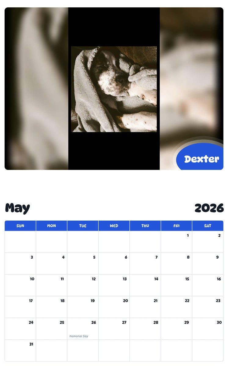 2026 - 2027 Dexter - Pawidols Pet Calendar