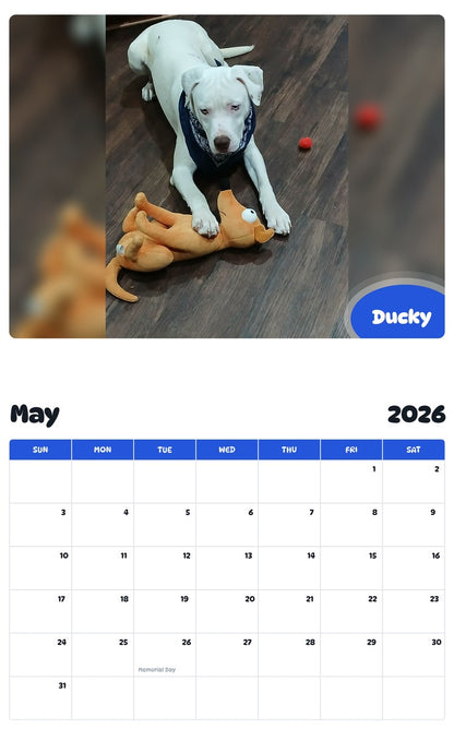 2026 - 2027 Ducky - Pawidols Pet Calendar