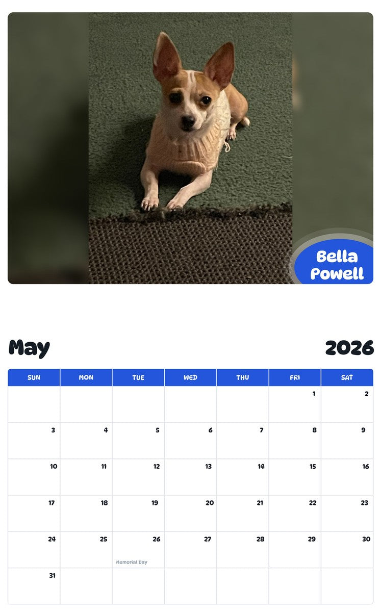 2026 - 2027 Bella Powell - Pawidols Pet Calendar