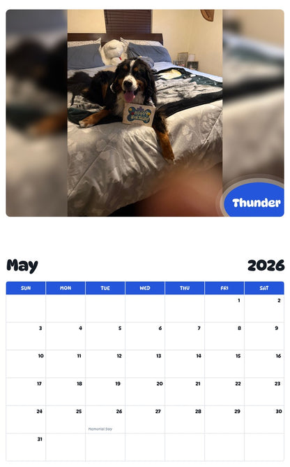 2026 - 2027 Thunder - Pawidols Pet Calendar