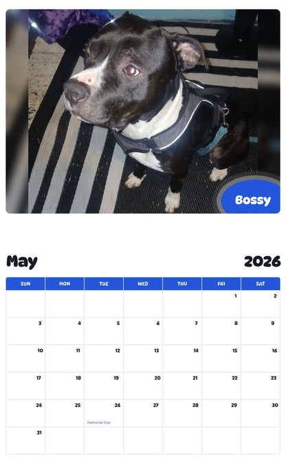 2026 - 2027 Bossy - Pawidols Pet Calendar