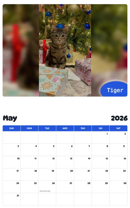 2026 - 2027 𝚃𝚒𝚐𝚎𝚛 - Pawidols Pet Calendar