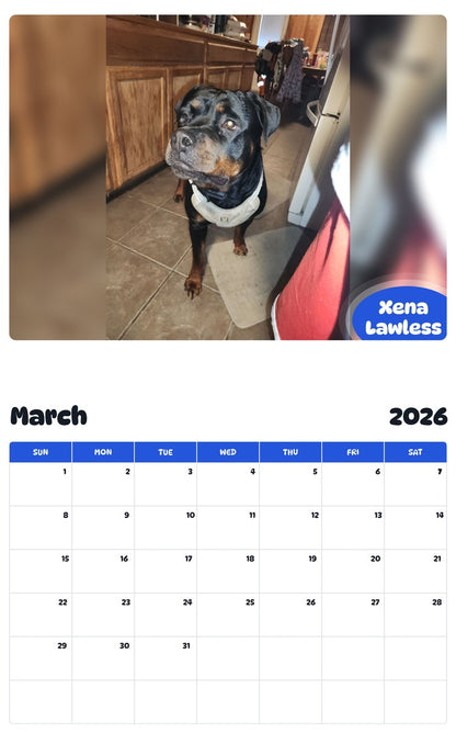 November 2025 - October 2026 Xena Lawless - Pawidols Pet Calendar