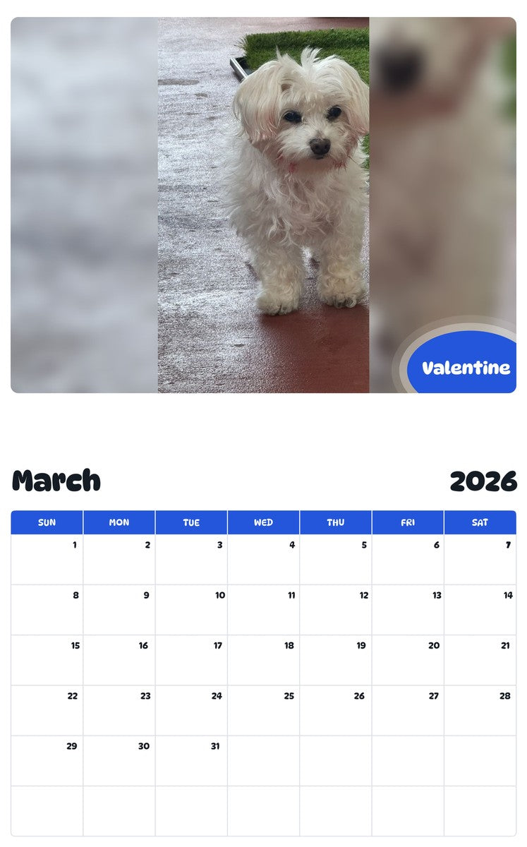 November 2025 - October 2026 Valentine - Pawidols Pet Calendar