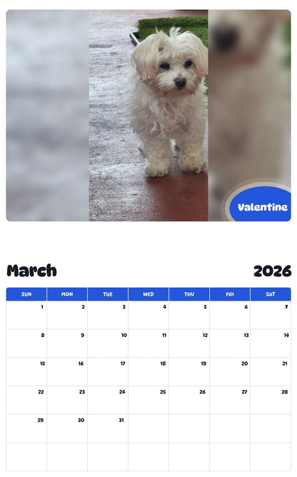 November 2025 - October 2026 Valentine - Pawidols Pet Calendar
