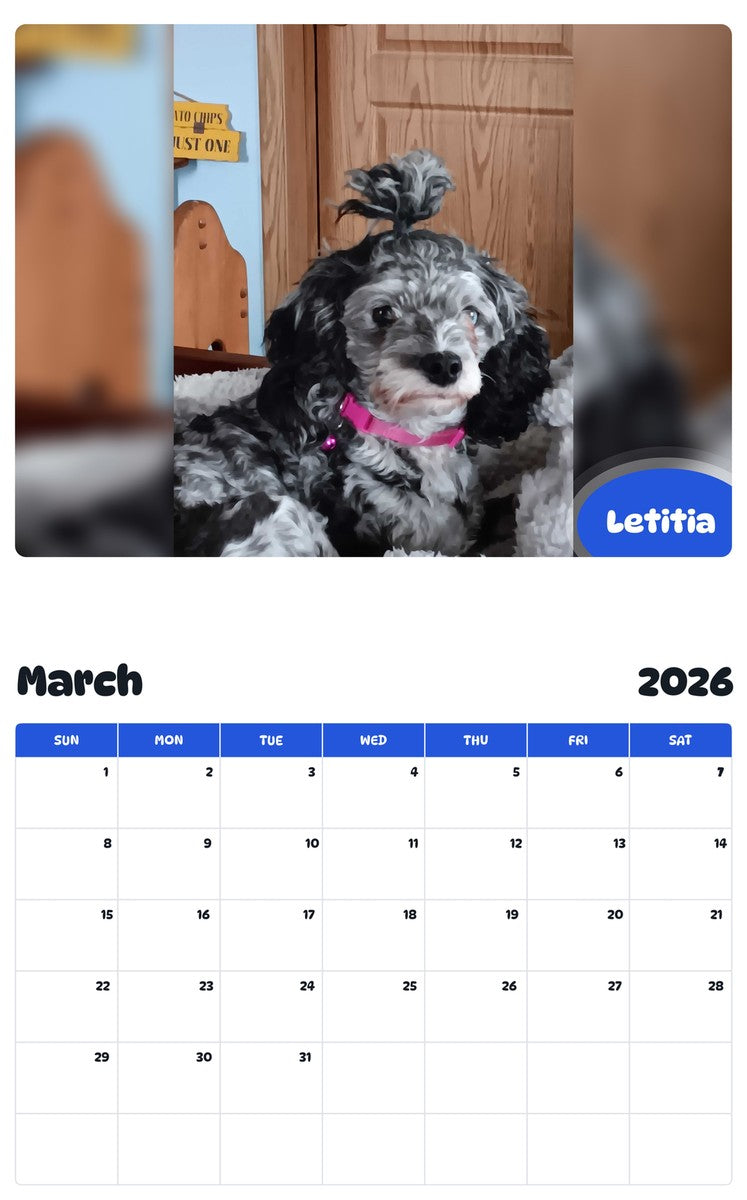 November 2025 - October 2026 Letitia - Pawidols Pet Calendar