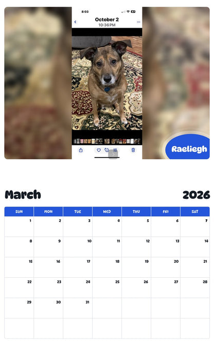 November 2025 - October 2026 Raeliegh - Pawidols Pet Calendar