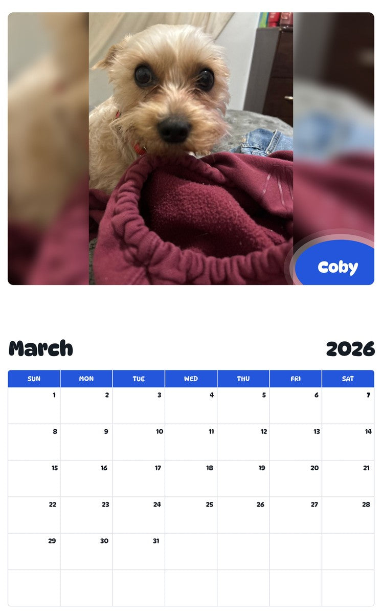 November 2025 - October 2026 Coby - Pawidols Pet Calendar