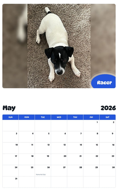 2026 - 2027 Racer - Pawidols Pet Calendar