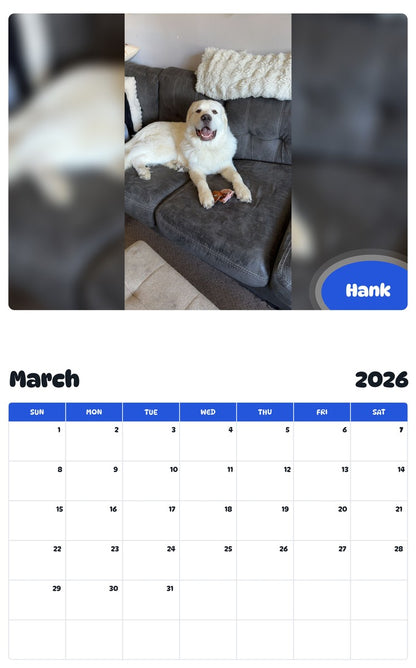 November 2025 - October 2026 Hank - Pawidols Pet Calendar