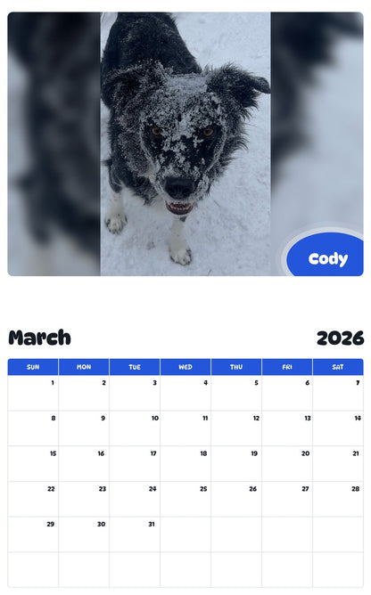 November 2025 - October 2026 Cody - Pawidols Pet Calendar