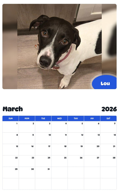 November 2025 - October 2026 Lou - Pawidols Pet Calendar