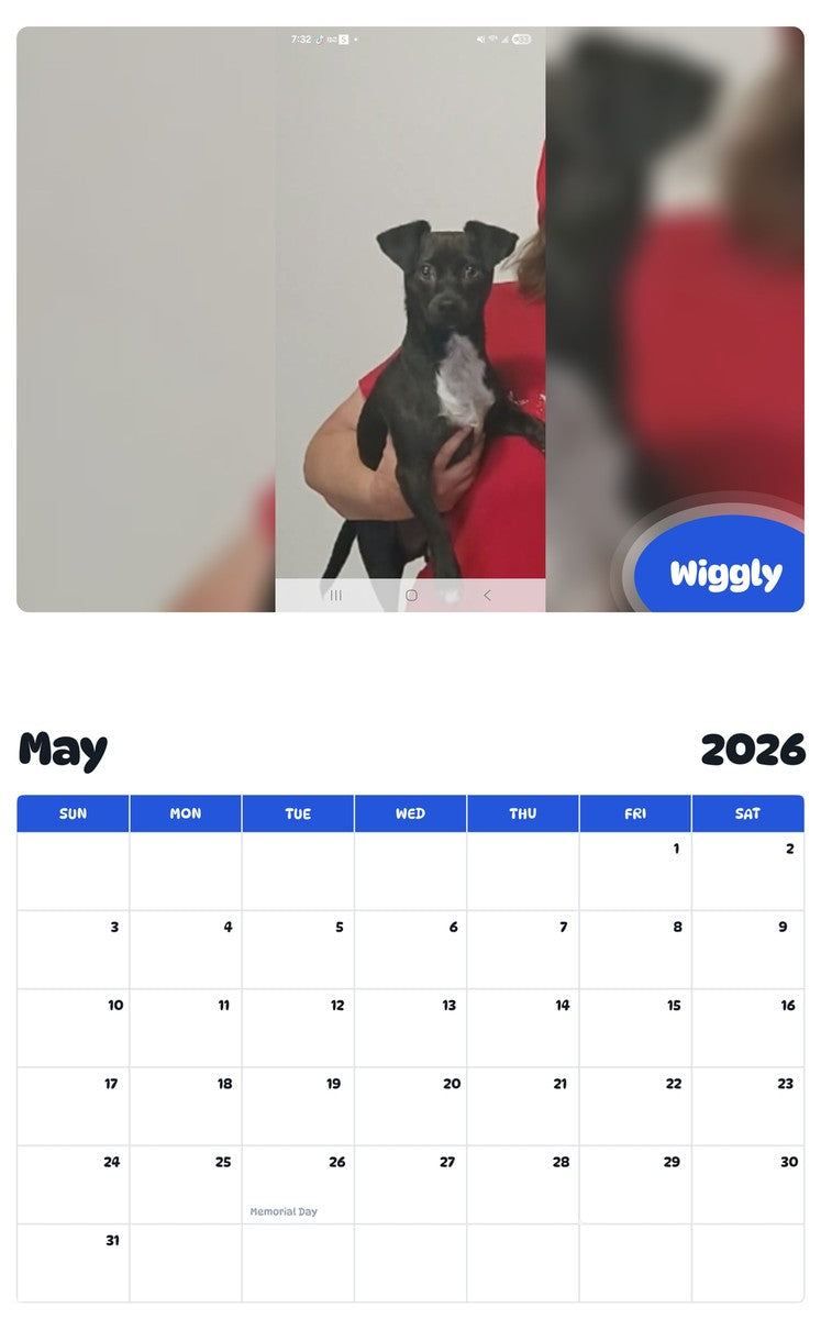 2026 - 2027 Wiggly - Pawidols Pet Calendar