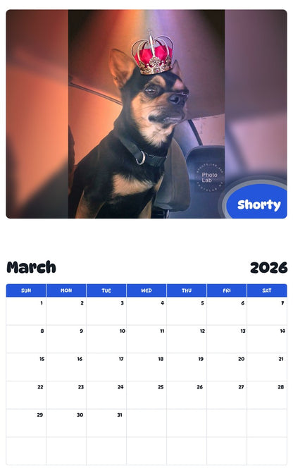 November 2025 - October 2026 Shorty - Pawidols Pet Calendar