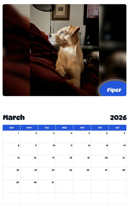 November 2025 - October 2026 Piper - Pawidols Pet Calendar
