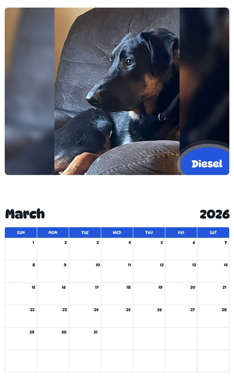 November 2025 - October 2026 Diesel - Pawidols Pet Calendar