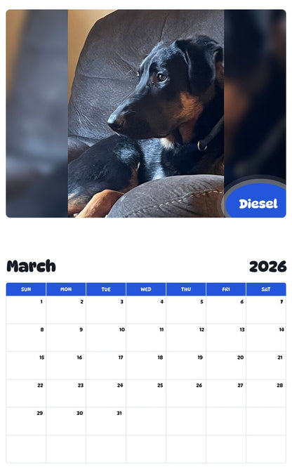 November 2025 - October 2026 Diesel - Pawidols Pet Calendar