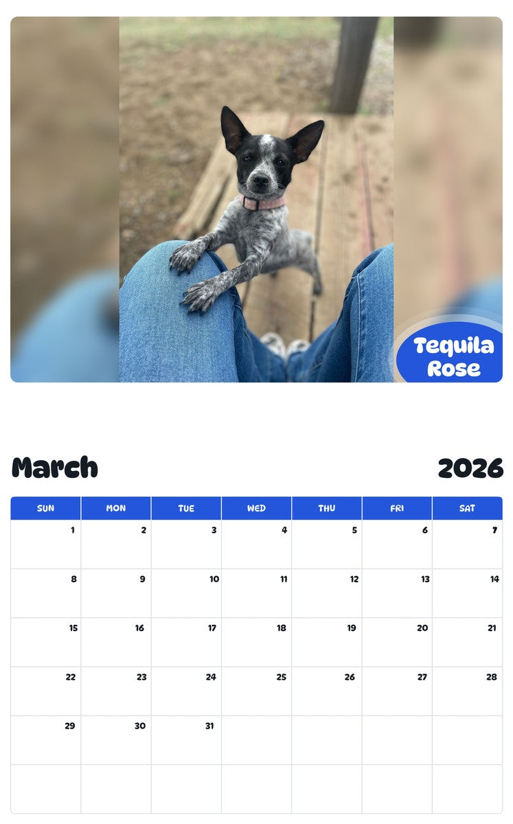 November 2025 - October 2026 Tequila Rose - Pawidols Pet Calendar