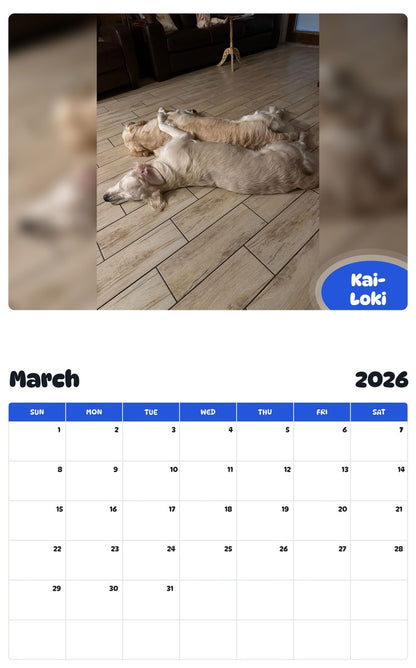 November 2025 - October 2026 Kai-Loki - Pawidols Pet Calendar
