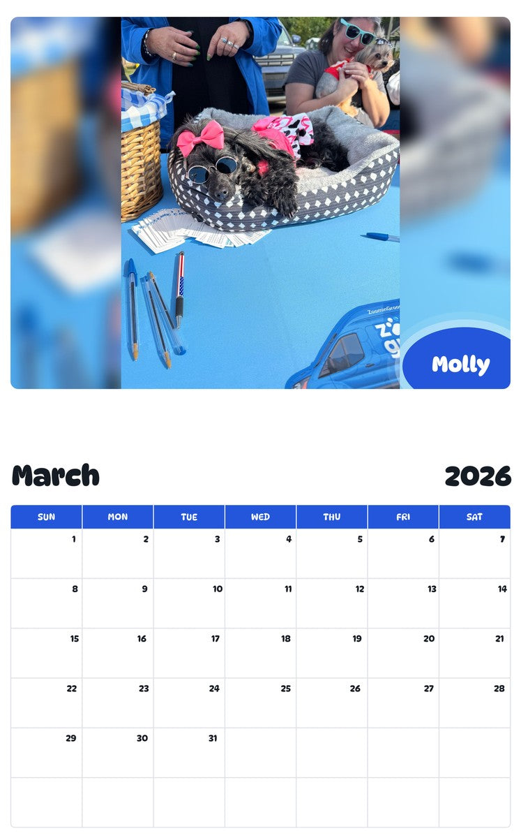 November 2025 - October 2026 Molly - Pawidols Pet Calendar