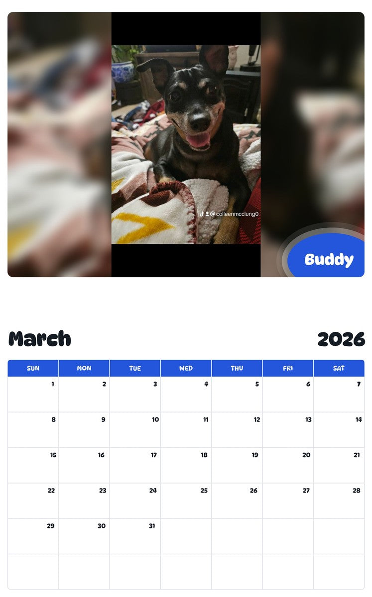 November 2025 - October 2026 Buddy - Pawidols Pet Calendar