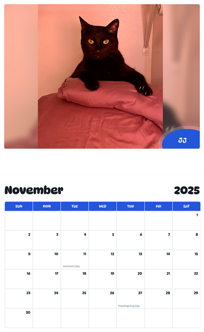 July 2025 - June 2026 JJ - Pawidols Pet Calendar