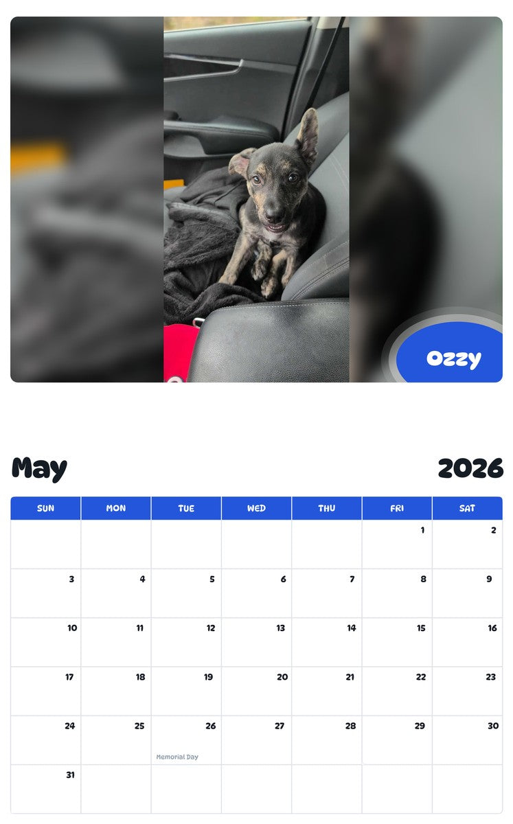 2026 - 2027 Ozzy - Pawidols Pet Calendar