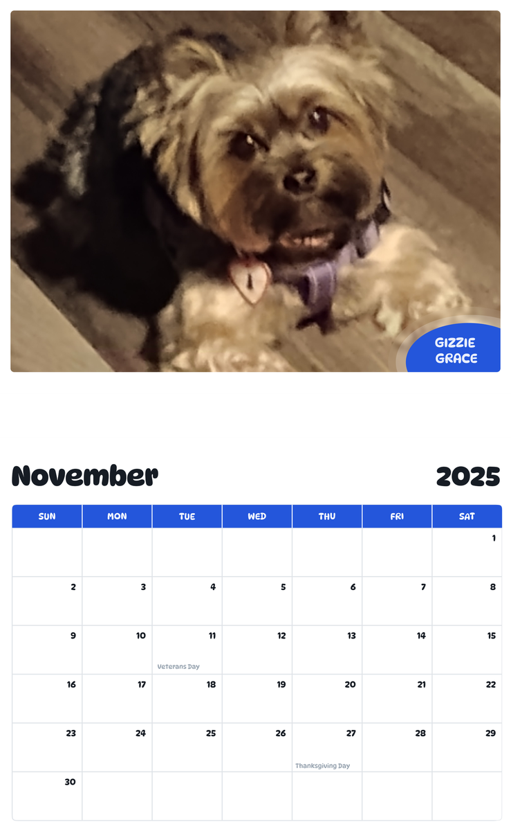 July 2025 - June 2026 Gizzie Grace - Pawidols Pet Calendar