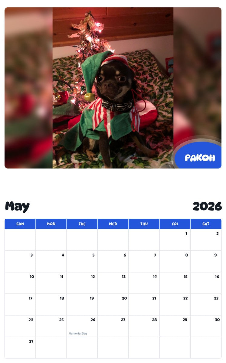 2026 - 2027 PAKOH - Pawidols Pet Calendar