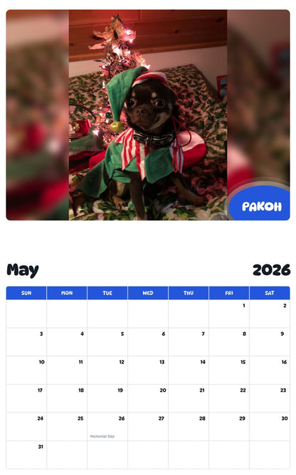 2026 - 2027 PAKOH - Pawidols Pet Calendar