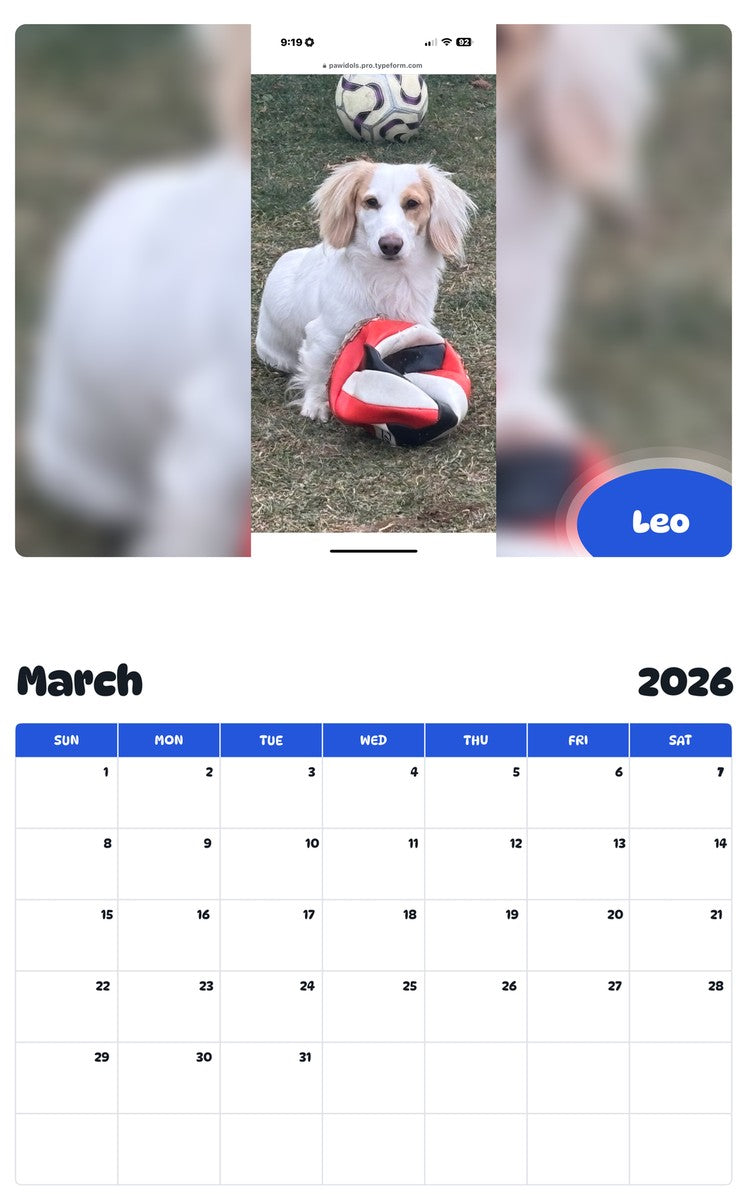 November 2025 - October 2026 Leo - Pawidols Pet Calendar