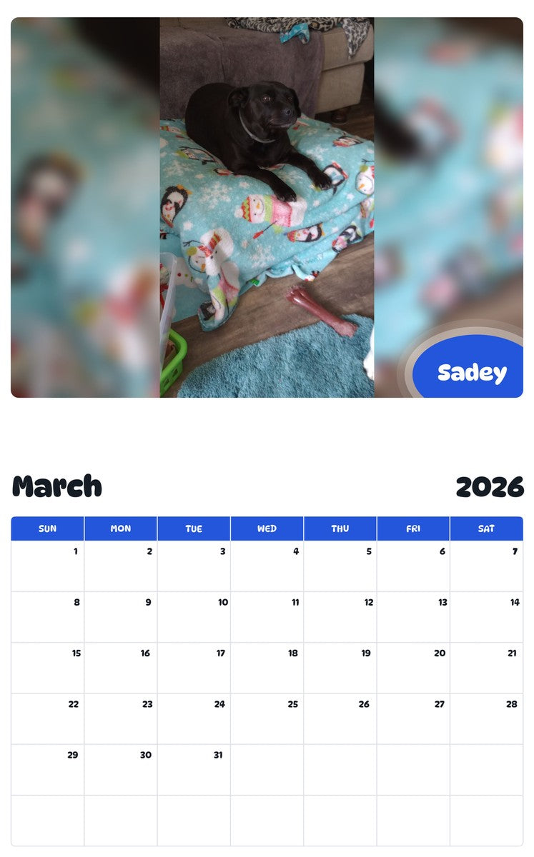 November 2025 - October 2026 Sadey - Pawidols Pet Calendar