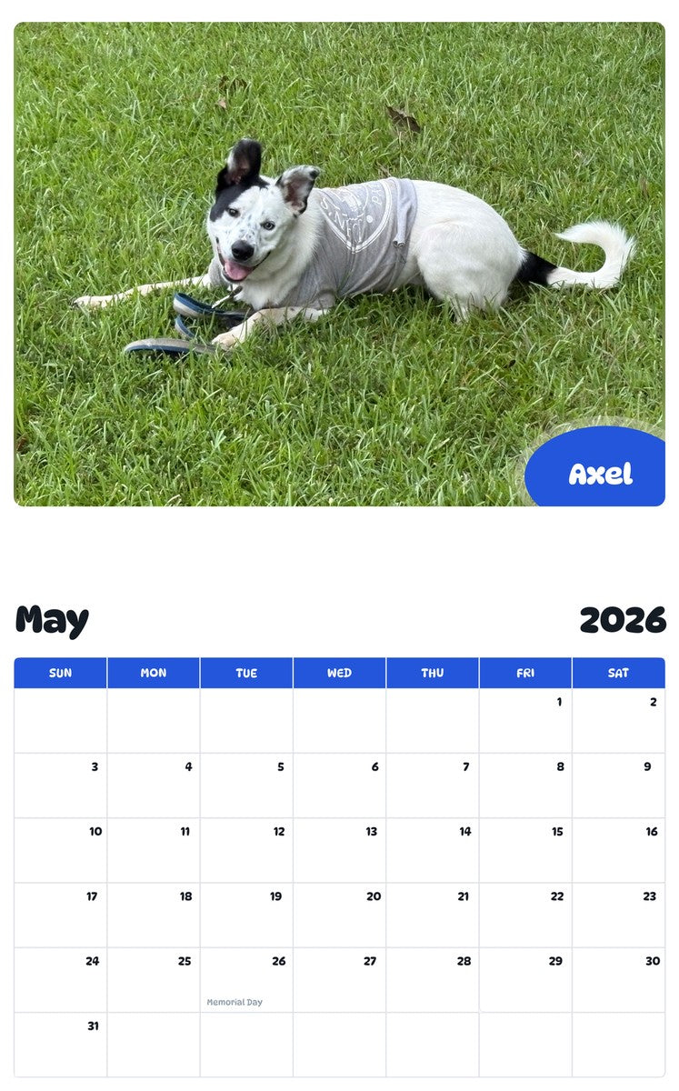 2026 - 2027 Axel - Pawidols Pet Calendar